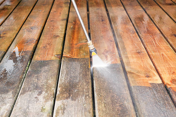 Best Animal Enclosure Cleaning  in Fairborn, OH